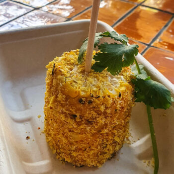 HispanicMechanicVeganFestival.3